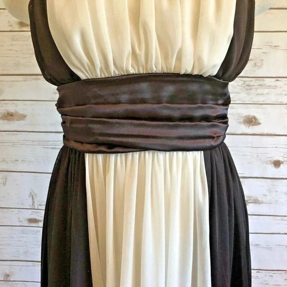 EN FOCUS Women Sleeveless Knee Length Empire Waist Brown Beige Dress Size 4P - Picture 3 of 12